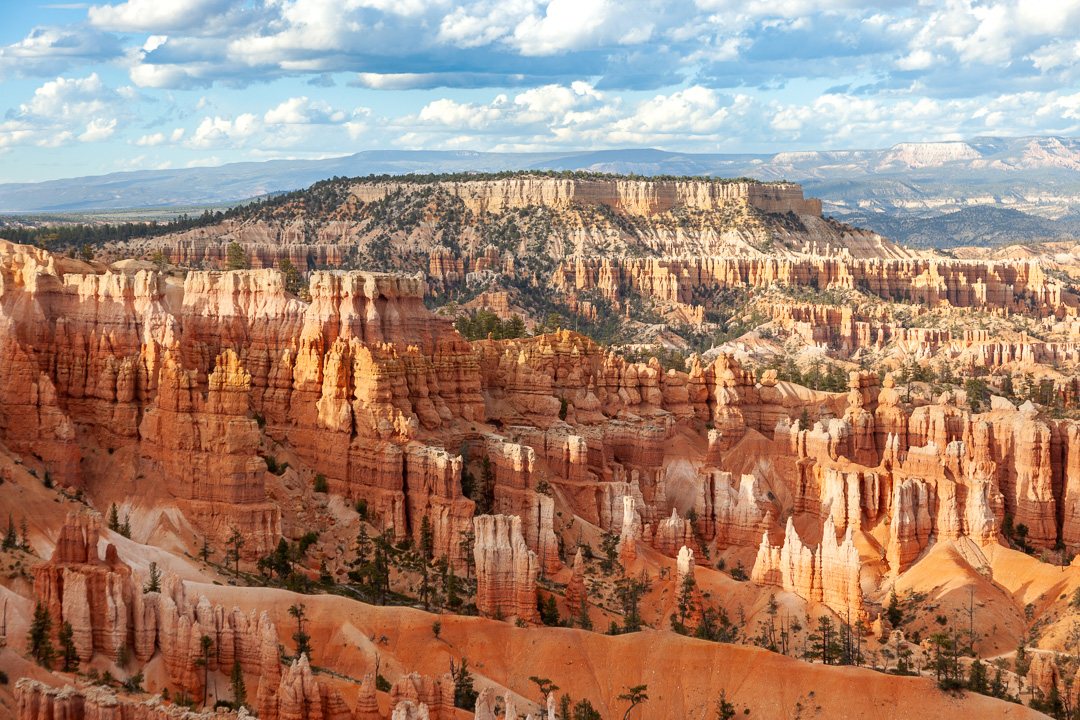 Horseshoe Bend Bryce Canyon
