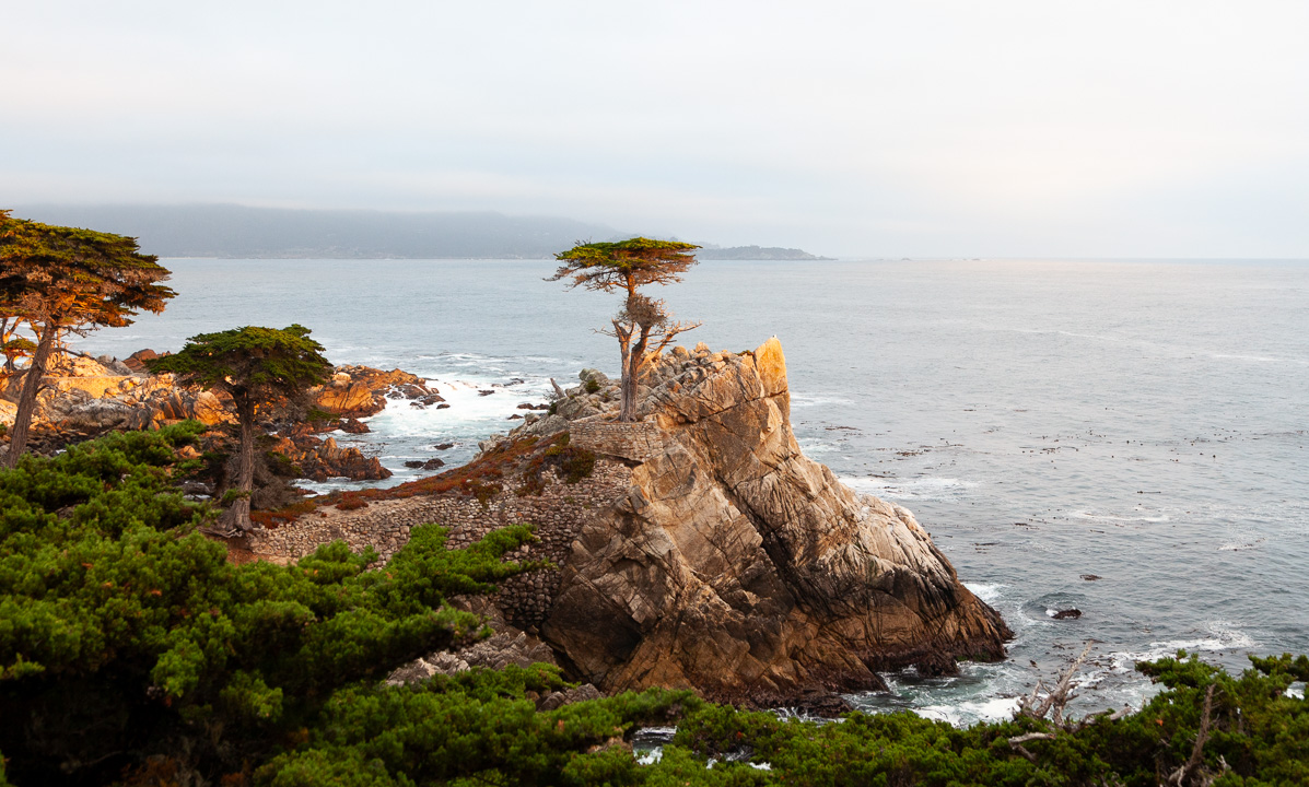 Santa Cruz Monterey Bay 17 Mile Drive